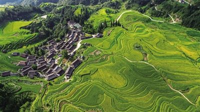 苗山侗水绘斑斓——民族文化弘扬创新黔东南实践
