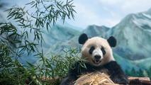 China, U.S. make preparations to send a pair of giant pandas to San Francisco Zoo in 2025