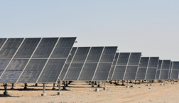 PowerChina launches construction of photovoltaic power plant in Algeria