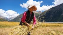 China, Germany strengthen barley research cooperation