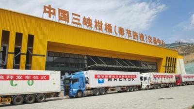 奉节脐橙首次出口迪拜