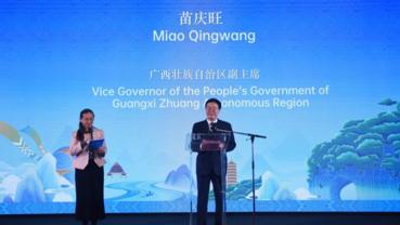 China's Guangxi holds culture, tourism promotion event in Vienna