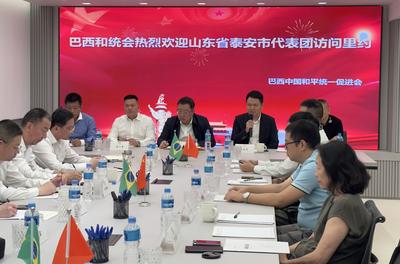 山东省泰安市代表团与巴西中国和平统一促进会举行座谈会