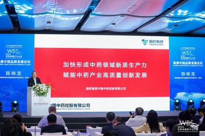 中国中药陈映龙：新质生产力驱动健康品牌建设