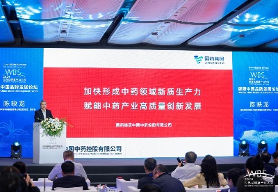 中国中药陈映龙：新质生产力驱动健康品牌建设