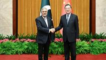 Chinese vice premier meets Pakistani deputy PM