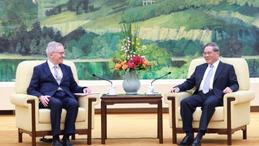 Chinese premier meets delegation from UK