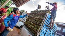 Thai trainees attend fruit logistics class in China