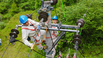 State Grid Chongqing's affiliate upgrades wires in nature reserve to protect endangered wild animals