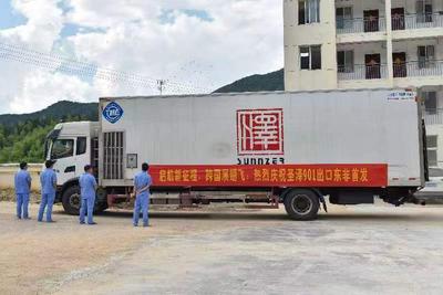 圣农进军非洲市场  白羽新品花开海外