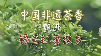 中国非遗茶香飘进锡兰红茶故乡