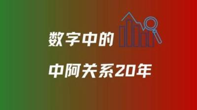 海报｜务实合作，硕果累累——数字中的中阿关系20年