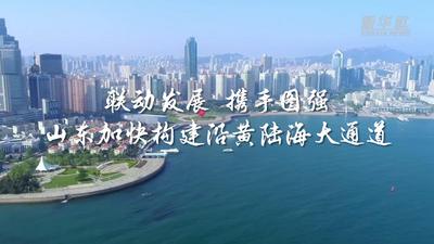 联动发展 携手图强——山东加快构建沿黄陆海大通道