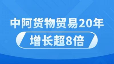 中阿货物贸易20年增长超8倍