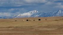 China sets Kunming Biodiversity Fund to support biodiversity conservation in developing countries