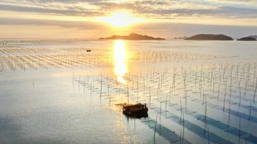 Meeting highlights seaweed cooperation among Asian countries