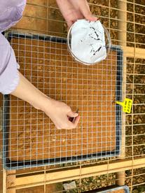 东门林场建立广西首批桉树太空育种试验林
