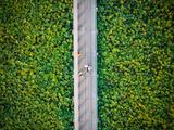 【Financial Str. Release】China to crank up financial support in building carbon footprint management system