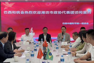 山东省潍坊市政协代表团与巴西中国和平统一促进会举行座谈会