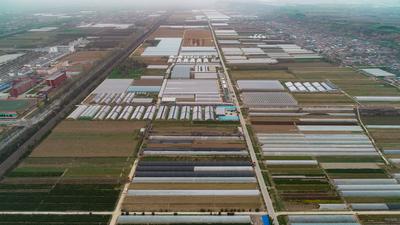 陕西杨凌5年培训2200余名上合组织国家涉农人员