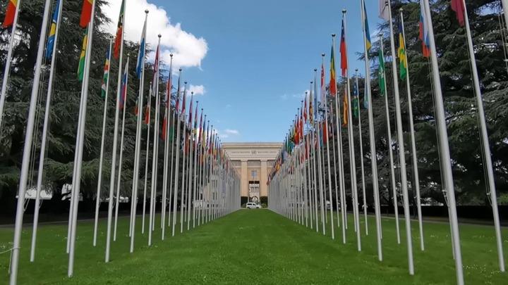 GLOBALink | Global Development Initiative conducive to achieving SDGs: UNCTAD chief