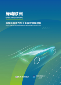 报告显示：中国车企自主品牌在欧洲仍“少见”