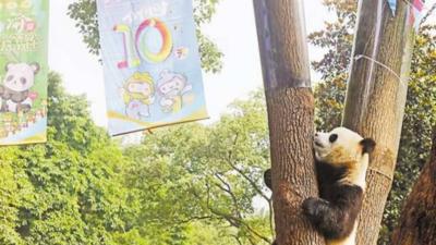 第二届“一带一路”国际技能大赛开启迎宾模式