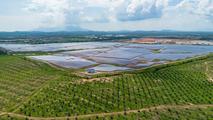 China, Germany hold dialogue on climate change, green transition