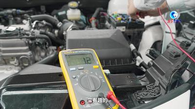 全球连线｜外国“体验官”解锁新技能：修车的“含金量”