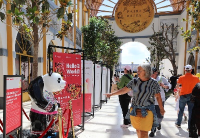 中国彩绘熊猫展在比利时揭幕