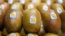 Feature: Kiwifruit's 100-year odyssey from China to New Zealand