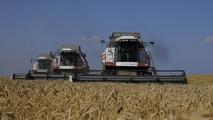 China Focus: SCO boosts agricultural bonds between China, Central Asia