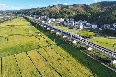 云南楚雄：厚植民营企业投资兴业的一方沃土