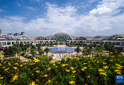 第八届中国—南亚博览会开幕