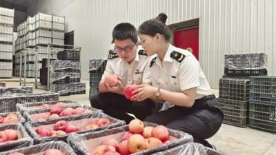 上半年甘肃外贸进出口总值达264.3亿元