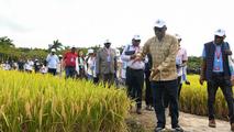 China strengthens agricultural research collaboration with Africa