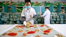 China lays out plan to further standardize TCM