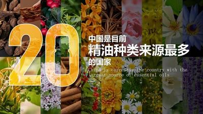 多特瑞发布《中国原植物战略采购官方图》 将七赴进博之约
