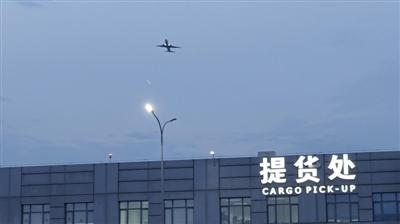 飞抵天府国际机场后 加拿大珍宝蟹这样登上成都人餐桌