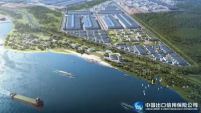 中国信保承保振石控股投资印尼年产12.6万吨镍金属生产线项目