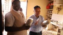 (Hello Africa) Chinese Juncao technology bringing tangible benefits to Africans