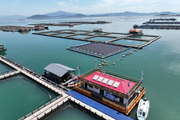 Offshore micro-grids enable green fish farming in southeast China