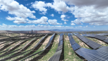 China Focus: China's photovoltaic industry venturing into offshore territories