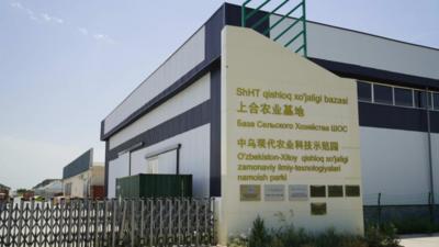 通讯｜务实耕耘 共同发展——探访乌兹别克斯坦上合组织农业基地中乌现代农业科技示范园