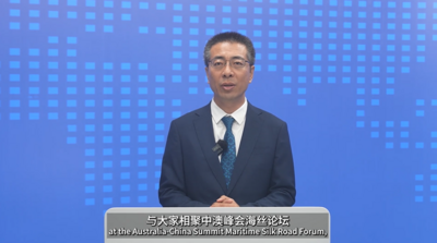 新华指数在中澳经贸峰会上分享RCEP区域贸港城现状趋势