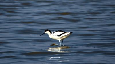 习近平总书记关切事丨点翠焕彩有新篇——美丽中国建设实践故事
