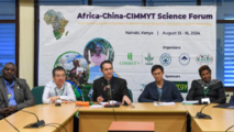 African, Chinese stakeholders convene in Kenya amid call to transform food systems