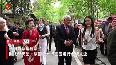 高端访谈丨法国前总理拉法兰：以文化为桥梁，打破区域间的隔阂