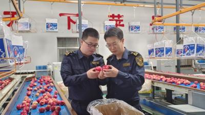 向“新”求“质”——甘肃特色农产品“破圈出海”