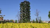 China makes tremendous progress in "greening its cities," says Italian architect